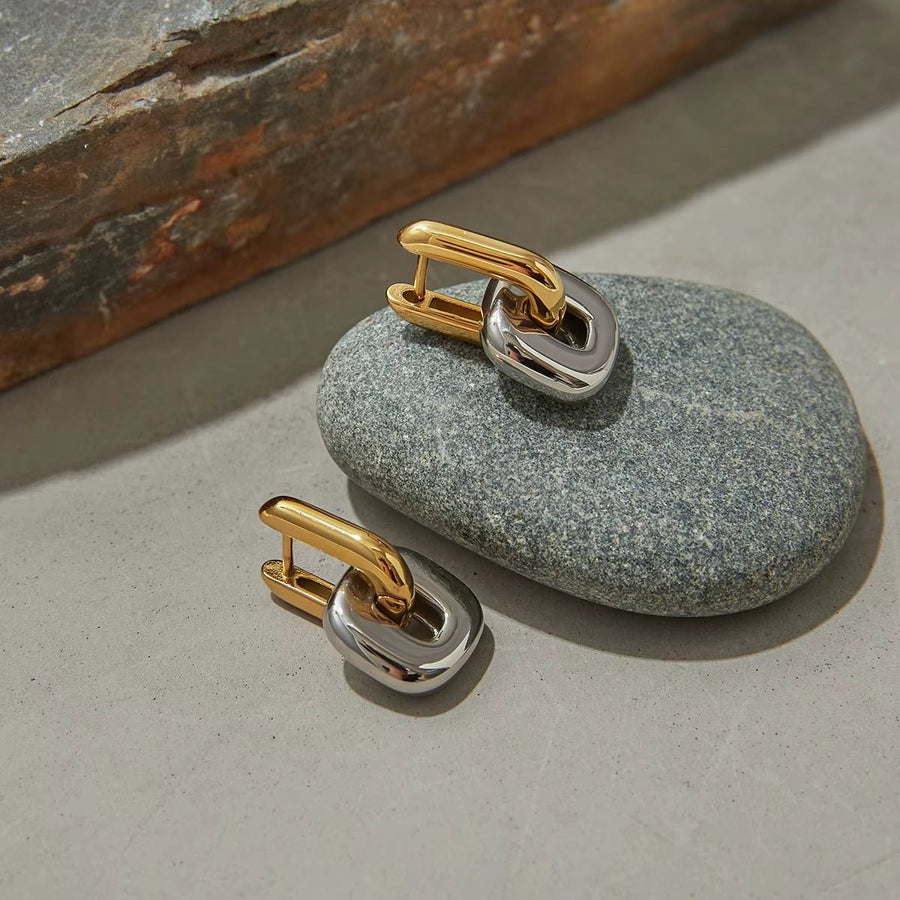 Reagan Mixed Metal Link Earrings